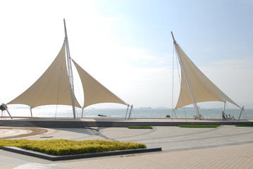 乒乓球的规则是什么？