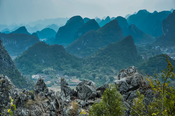 历届女单冠军一览表