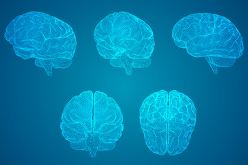 乒乓球运动现状和发展趋势