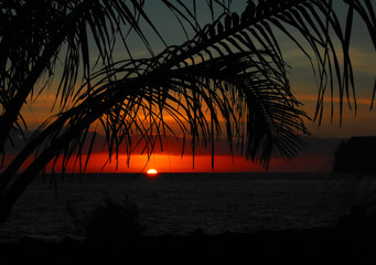 乒乓球国家队的陪练都是什么水平？