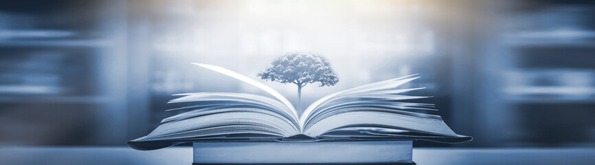 张怡宁和邓亚萍谁更厉害？