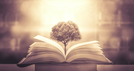 乒乓球运动现状和发展趋势