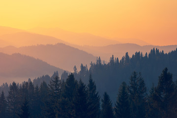 乒乓球的规则是什么？