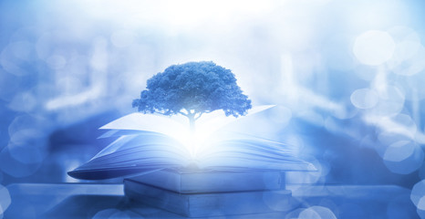 深圳乒乓球私教班机构