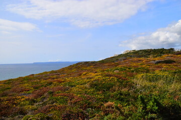 历届女单冠军一览表