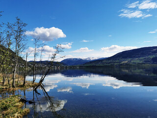 乒乓球的规则是什么？