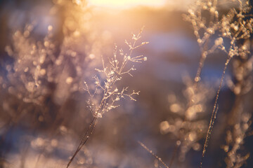 乒乓球发球技巧