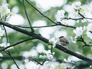 中国乒乓球运动员排行榜前十名