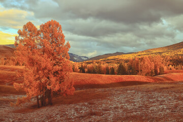 乒乓球拍（横拍）反手长胶的打法