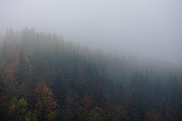 深圳乒乓球私教班机构