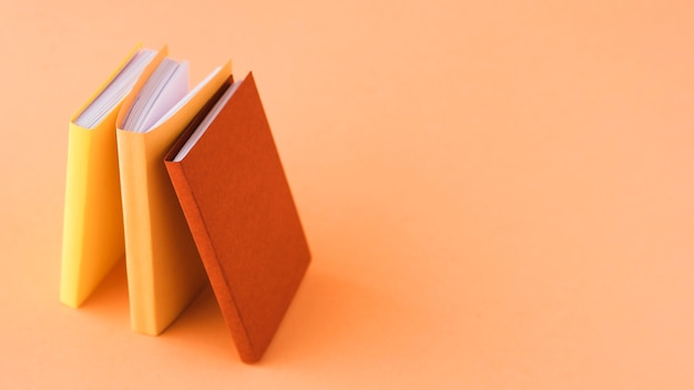 乒乓球国家队的陪练都是什么水平？