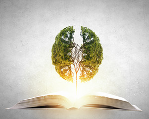 乒乓球正手平击发球的要点是什么？