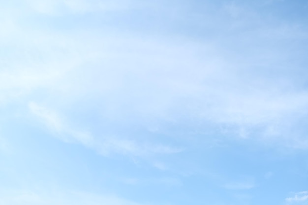 中国乒乓球运动员排行榜前十名