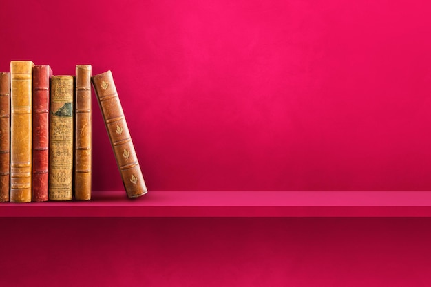 形容乒乓球运动员风采的词语