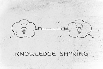 乒乓球国家队的陪练都是什么水平？