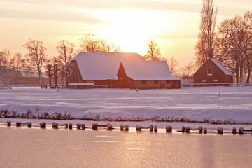 中国乒乓球运动员排行榜前十名