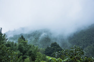 乒乓球发球技巧